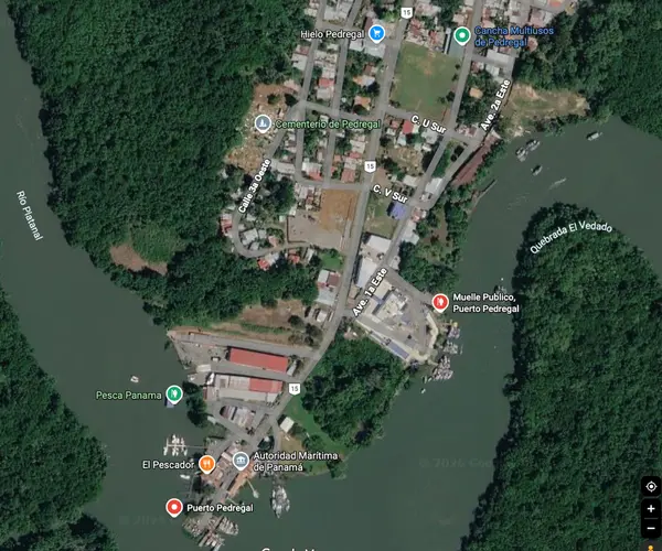 Pedregal, Chiriquí,
