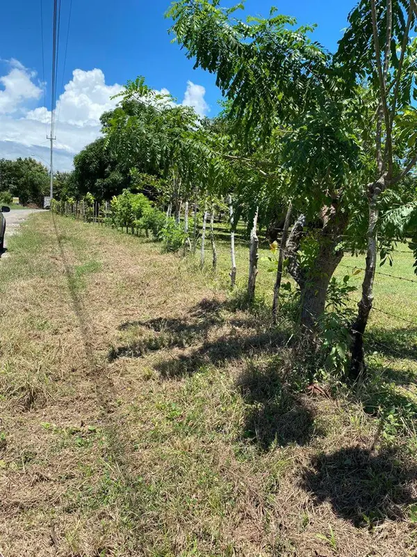 Rio Hato