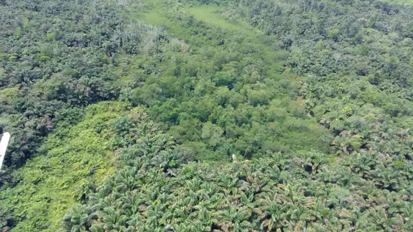 Bocas del Toro