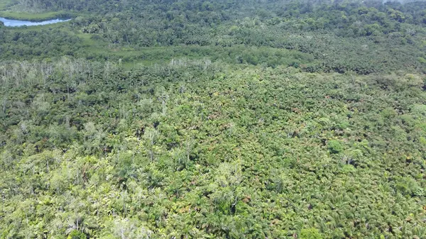 Bocas del Toro