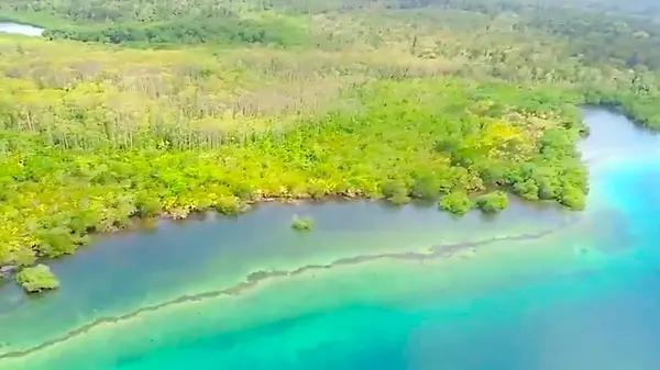 Bocas del Toro