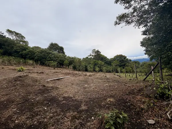 PALMIRA, Boquete,
