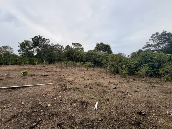 PALMIRA, Boquete,