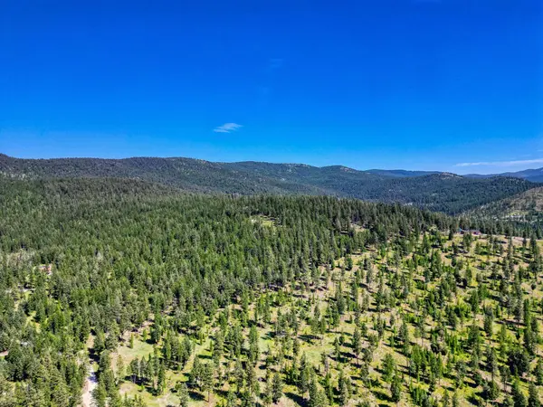 386 Racheals Meadow LN, Kila, MT 59920