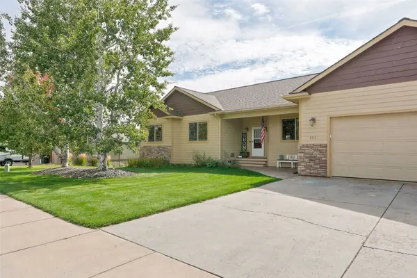 337 Gold CT