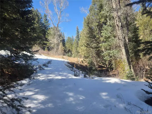 Fall River RD, Idaho Springs, CO 80452