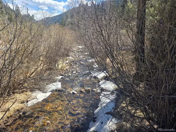 Fall River RD, Idaho Springs, CO 80452