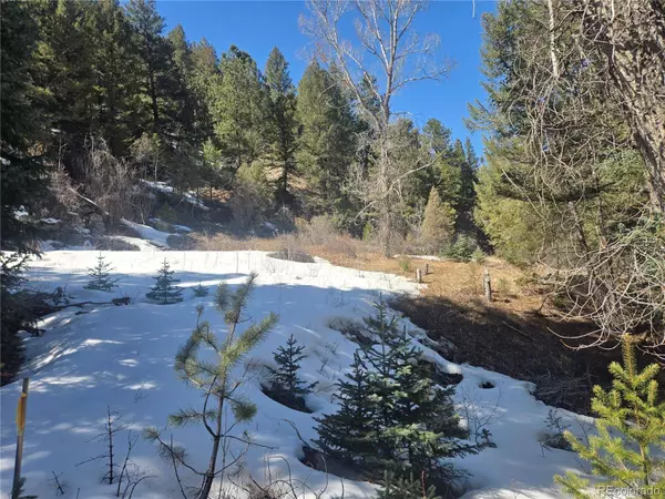 Fall River RD, Idaho Springs, CO 80452