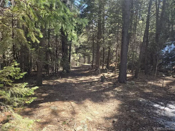 Fall River RD, Idaho Springs, CO 80452