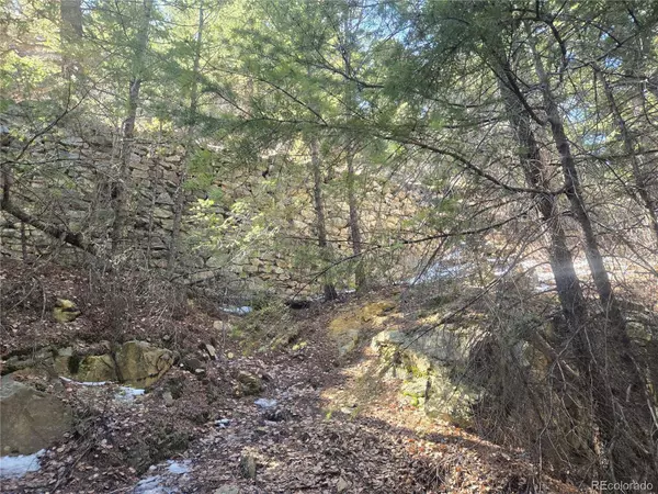 Fall River RD, Idaho Springs, CO 80452