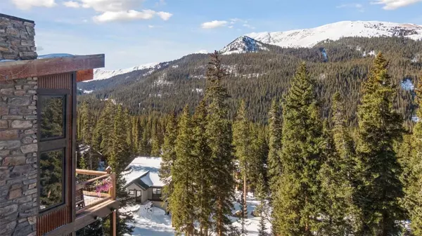 353 Bullion Mine RD, Dillon, CO 80435