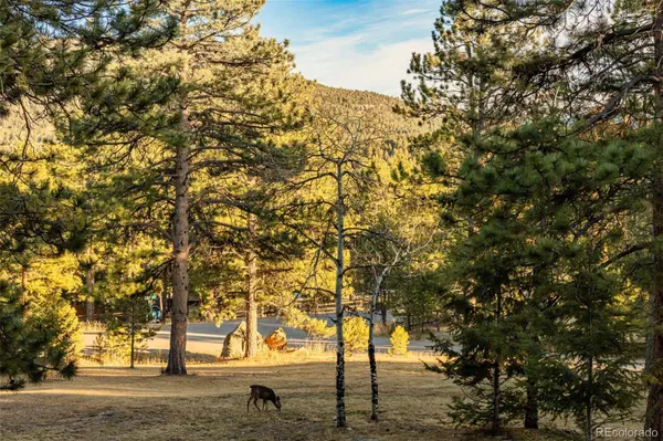 28735 Little Big Horn DR, Evergreen, CO 80439