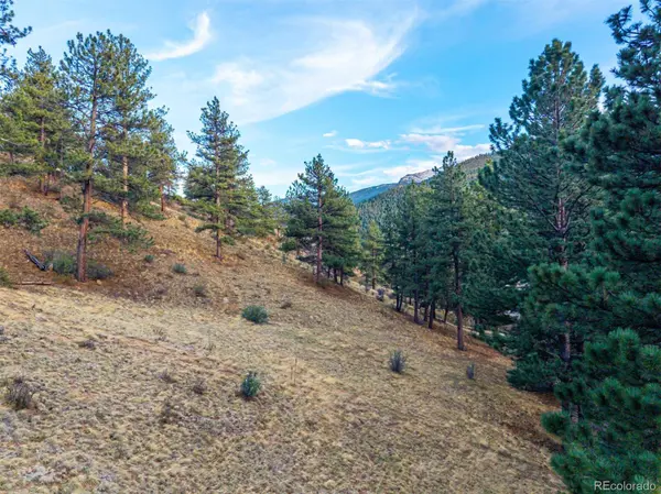 156 E Cline DR, Shawnee, CO 80475