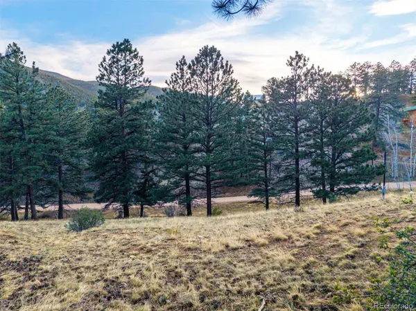 156 E Cline DR, Shawnee, CO 80475