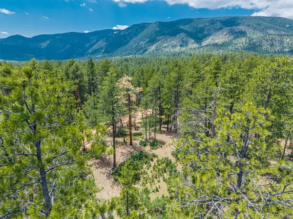 4485 Delaware DR, Larkspur, CO 80118
