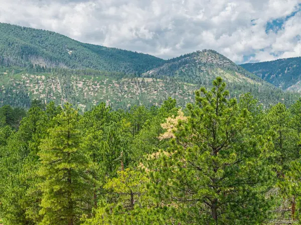 4485 Delaware DR, Larkspur, CO 80118