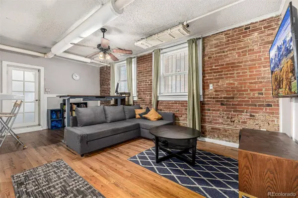 1376 N Pearl ST #B1, Denver, CO 80203