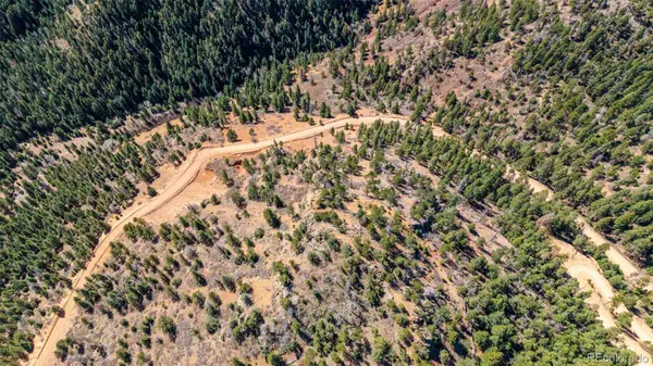 13912 Woodmoor West DR, Larkspur, CO 80118