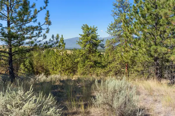 842 Sandhill LOOP, Florence, MT 59833