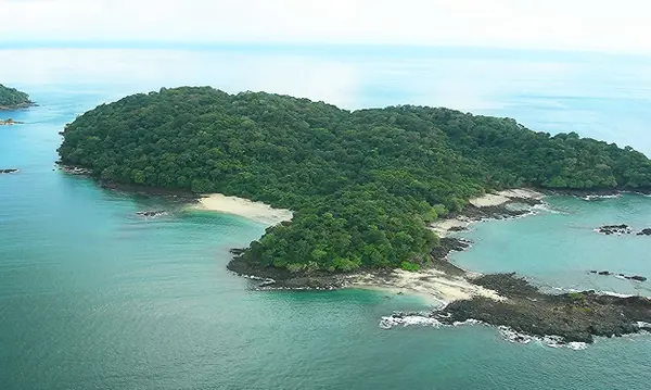 Isla de puercos,