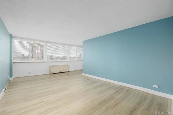 1196 N Grant ST #705, Denver, CO 80203