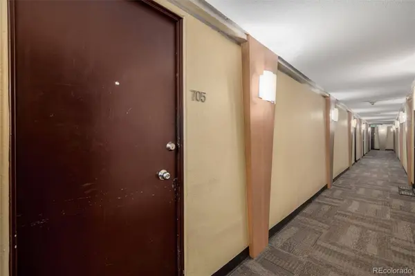 1196 N Grant ST #705, Denver, CO 80203