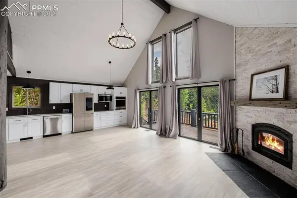 302 Lakeview RD, Bailey, CO 80421