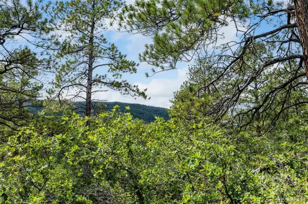 8160 Bannock DR, Larkspur, CO 80118