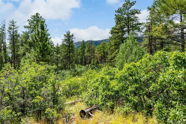 8160 Bannock DR, Larkspur, CO 80118