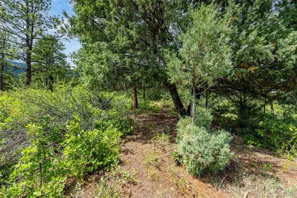 8160 Bannock DR, Larkspur, CO 80118