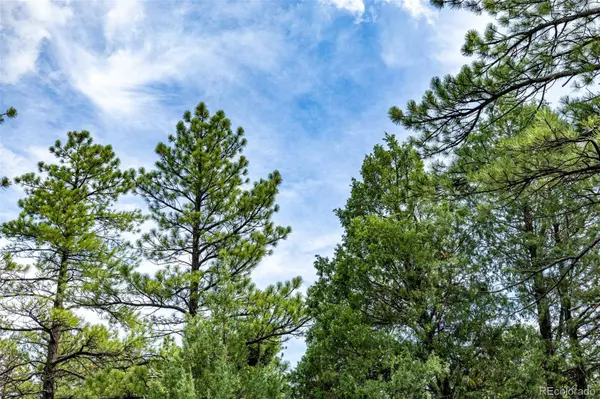 8160 Bannock DR, Larkspur, CO 80118