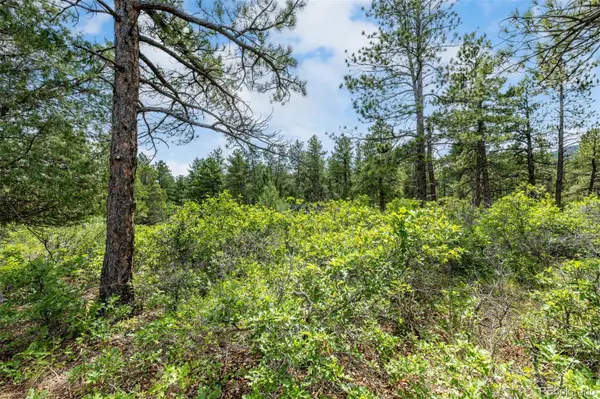 8160 Bannock DR, Larkspur, CO 80118