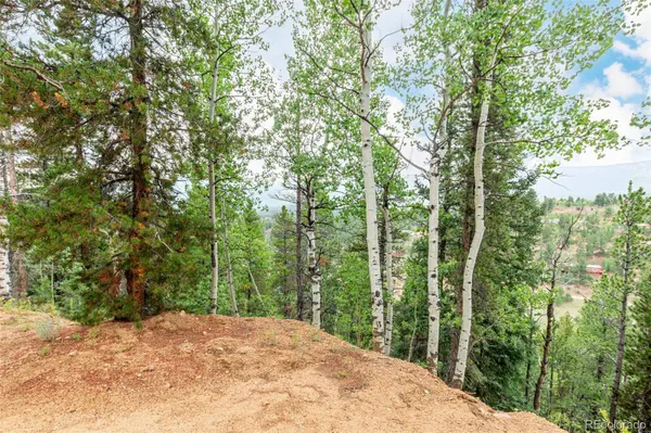 427 Wise RD, Bailey, CO 80421