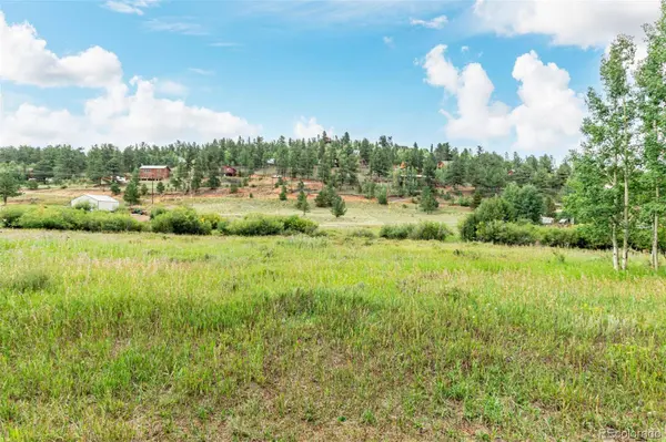 427 Wise RD, Bailey, CO 80421