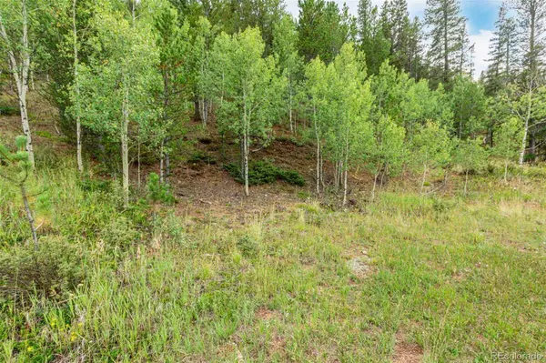 427 Wise RD, Bailey, CO 80421