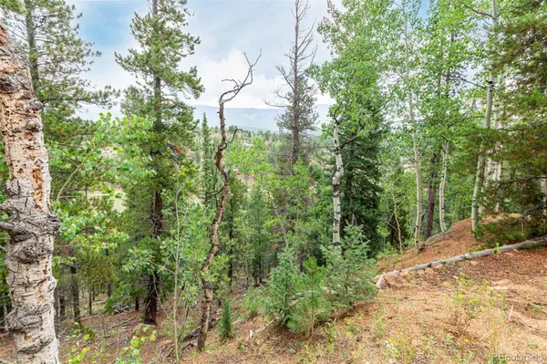 427 Wise RD, Bailey, CO 80421