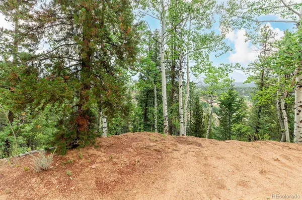 427 Wise RD, Bailey, CO 80421