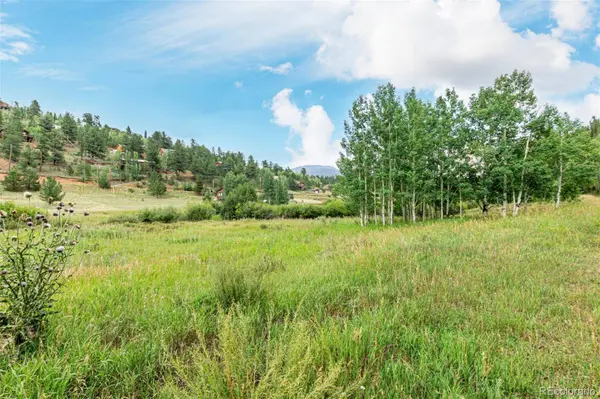 427 Wise RD, Bailey, CO 80421