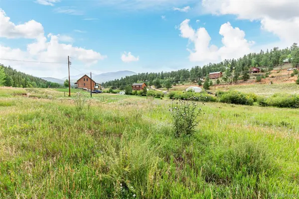 427 Wise RD, Bailey, CO 80421