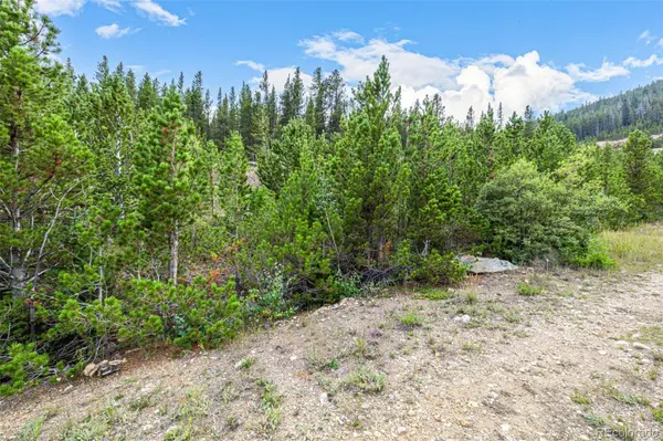 Aspen RD, Idaho Springs, CO 80452