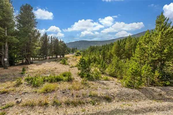 Beaver RD, Idaho Springs, CO 80452