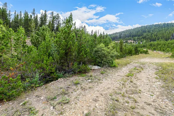 Aspen RD, Idaho Springs, CO 80452