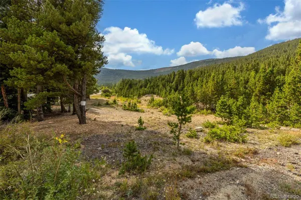 Beaver RD, Idaho Springs, CO 80452