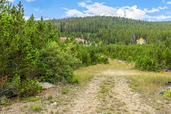 Aspen RD, Idaho Springs, CO 80452