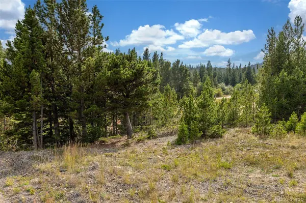 Beaver RD, Idaho Springs, CO 80452