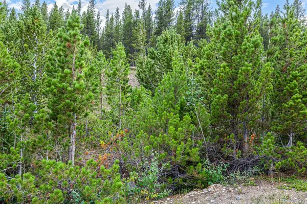 Aspen RD, Idaho Springs, CO 80452
