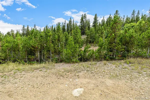 Aspen RD, Idaho Springs, CO 80452