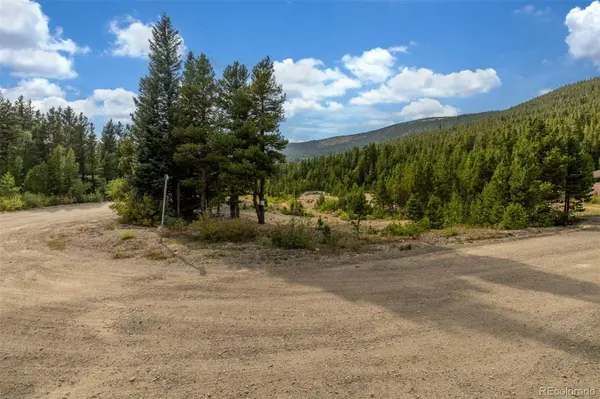 Beaver RD, Idaho Springs, CO 80452