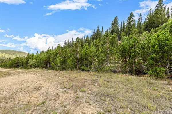 Aspen RD, Idaho Springs, CO 80452