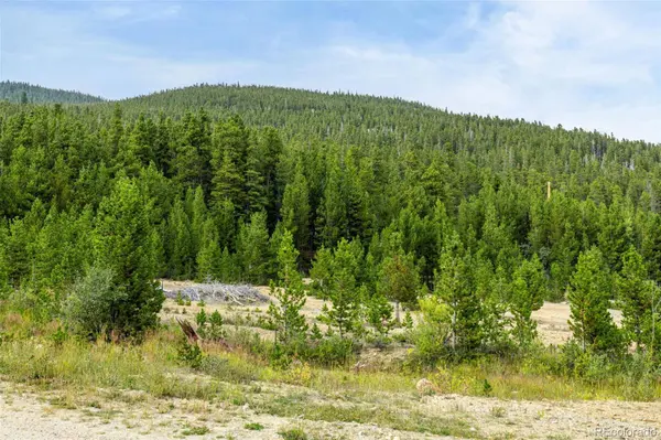 Little Creek RD, Idaho Springs, CO 80452